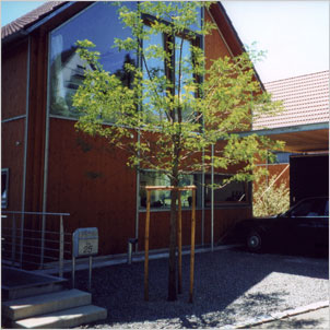 ANSICHT 05