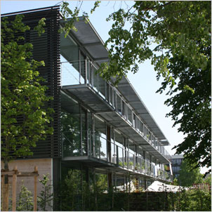 Ackermannbogen