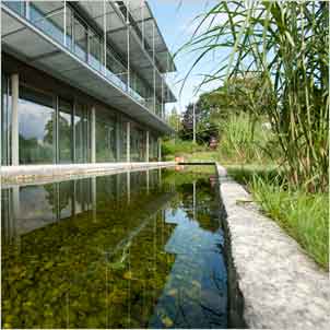 Teich 02